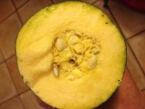 image courgette.jpg (1.8MB)